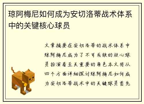 琼阿梅尼如何成为安切洛蒂战术体系中的关键核心球员